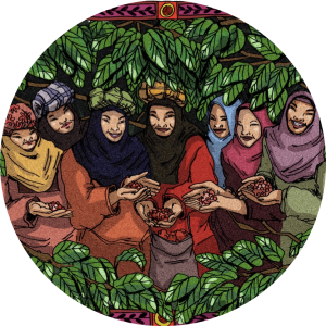 produit torrefaction papillons - N°34 - Rahmah