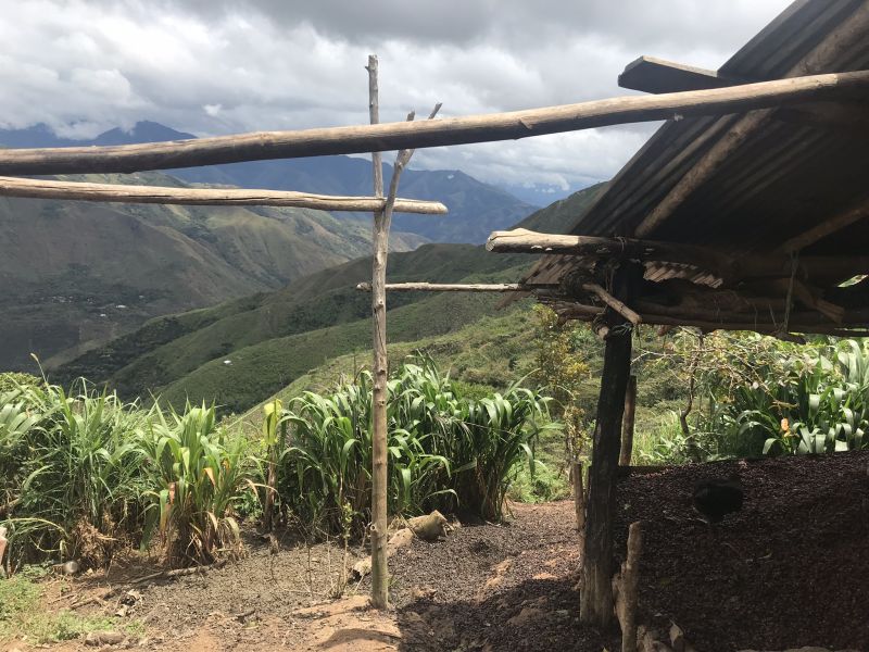 img produit N°24 Bis - Maribel