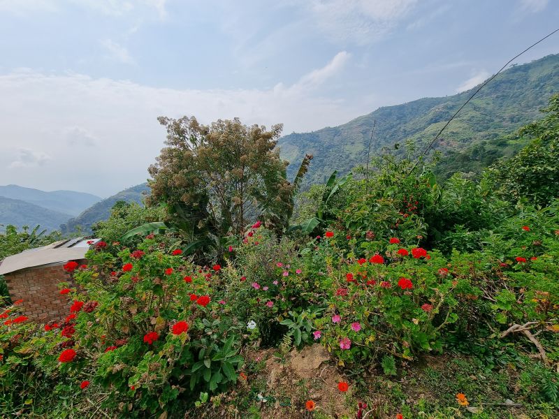 img produit N°24 Bis - Maribel