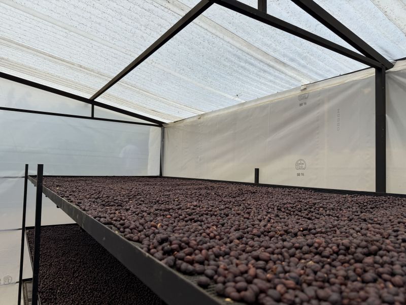 img produit N°24 Bis - Maribel