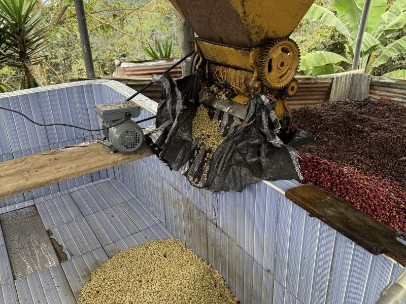 img produit N°24 Bis - Maribel