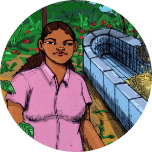 produit torrefaction papillons - N°24 Bis - Maribel