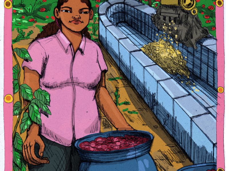 img produit N°24 Bis - Maribel