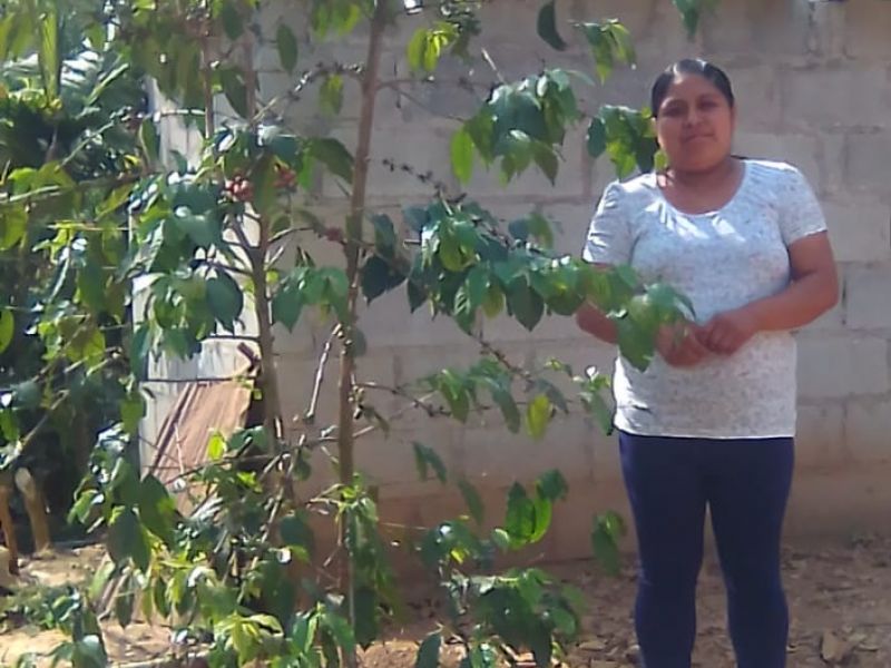 img produit N°29 - Las Mazatecas