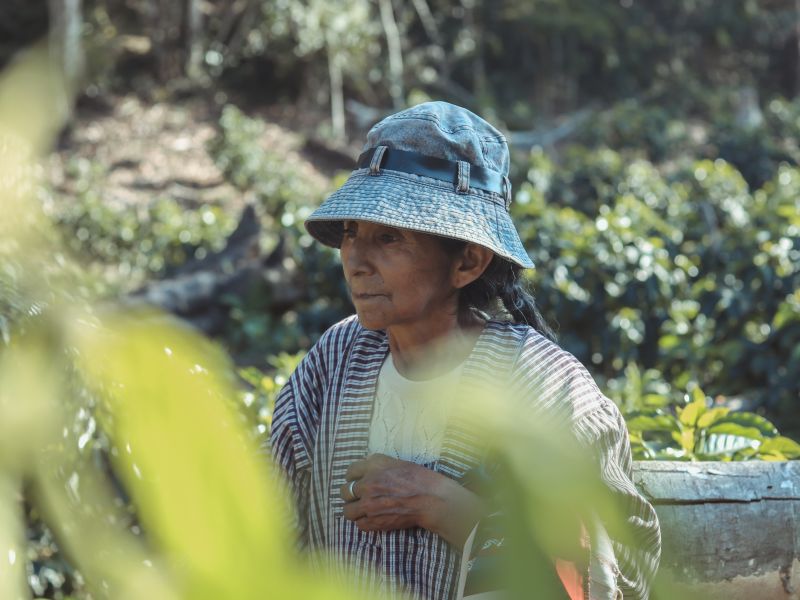 img produit N°35 - Doña Juana
