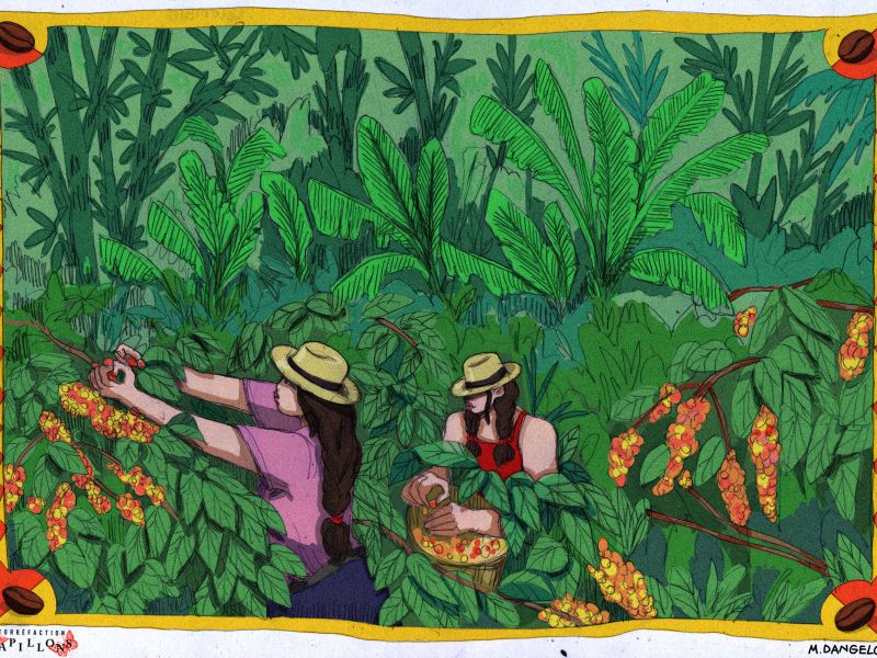 img produit N°44 - Maria Argote