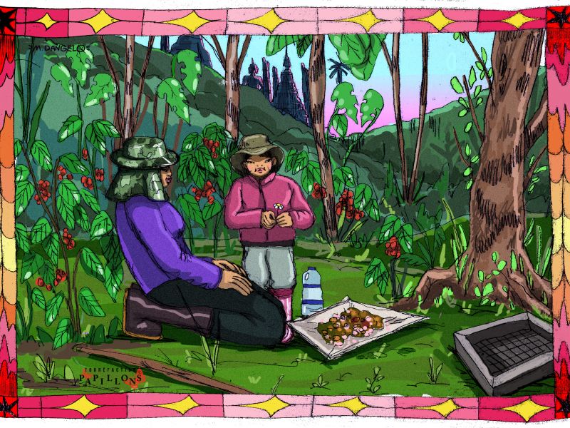 img produit N°51 - Doi Pangkhon