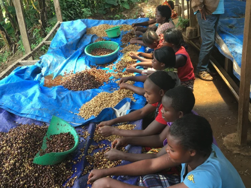 img produit N°59 - Katana