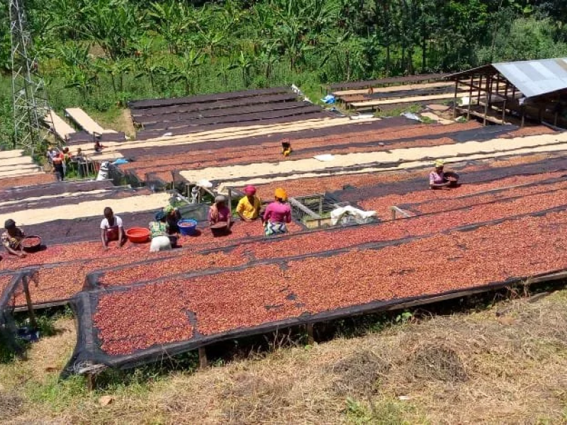 img produit N°59 - Katana