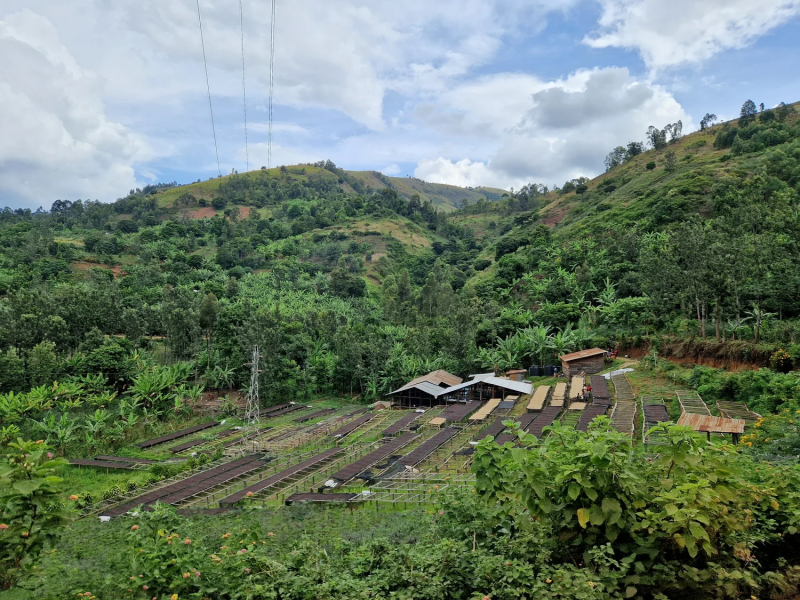 img produit N°59 - Katana