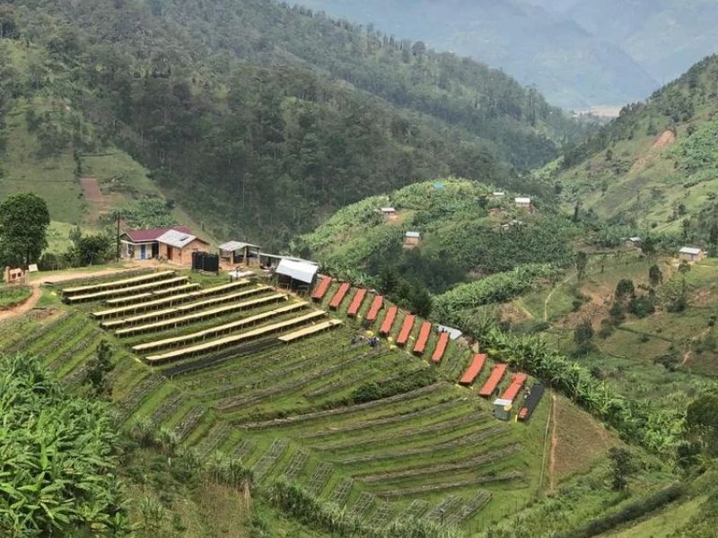 img produit N°60 – Hingakawa