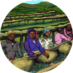 produit torrefaction papillons - N°60 – Hingakawa