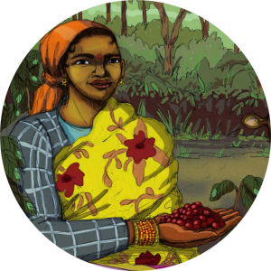 produit torrefaction papillons - N°61 - Sangamesh