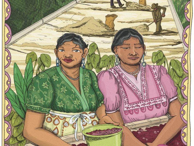 img produit 	N°62 - Las Huistas