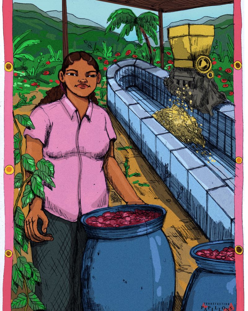 papillons torrefactions