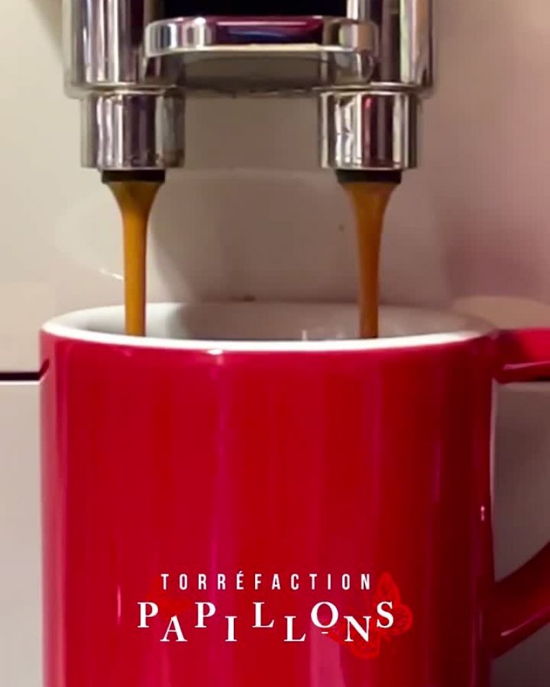 papillons torrefactions