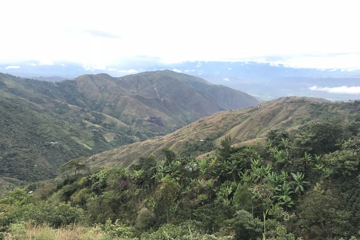 producteur - Mavila Ruiz Diaz