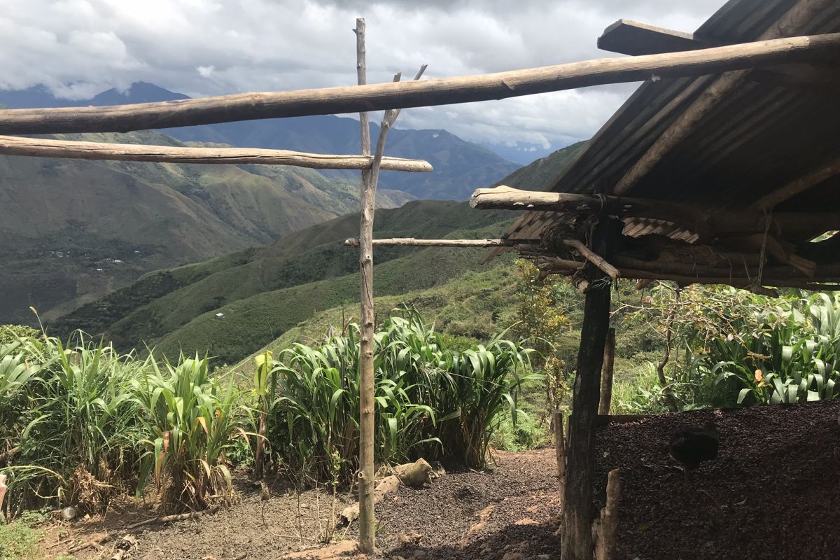 producteur - Mavila Ruiz Diaz