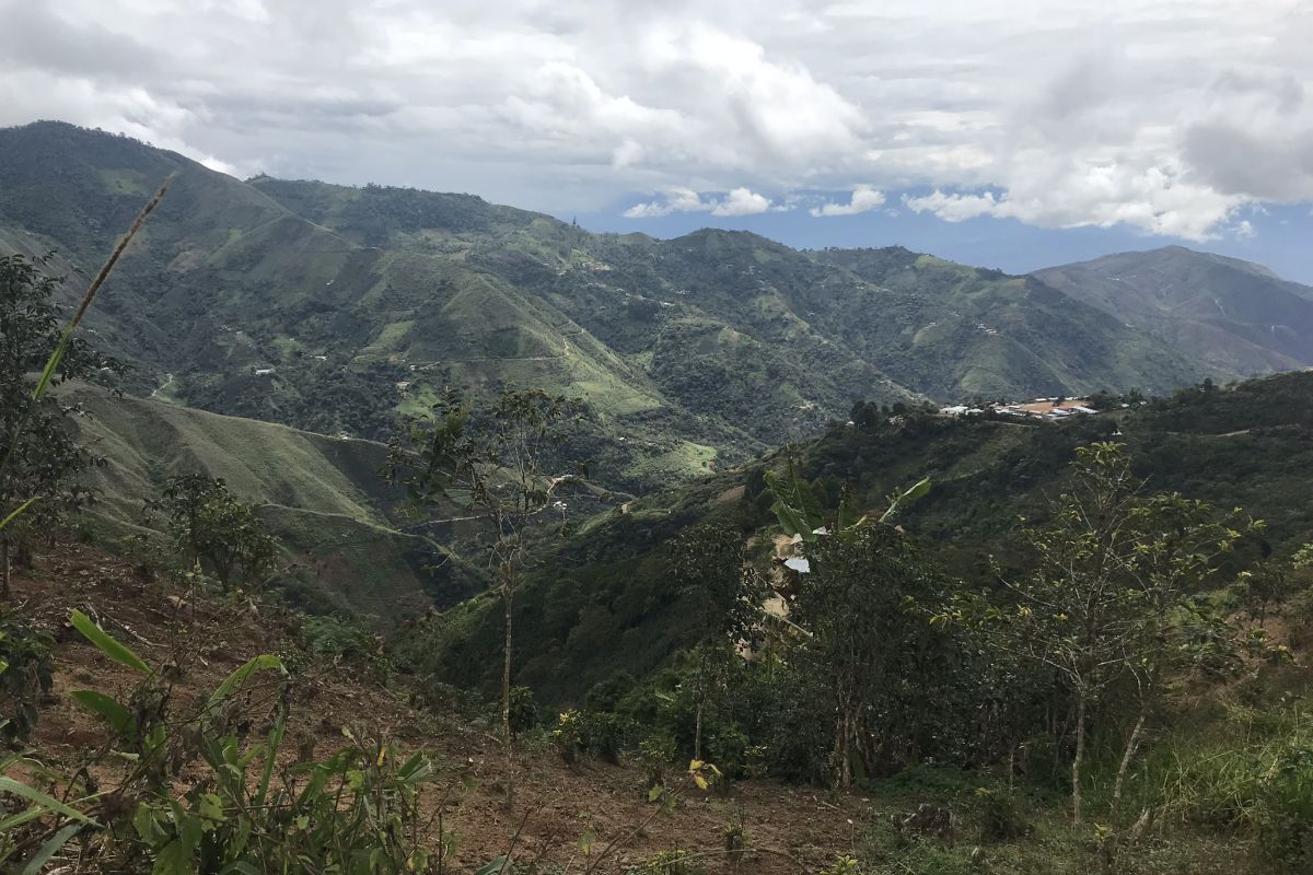 producteur - Maribel Herrera Torres