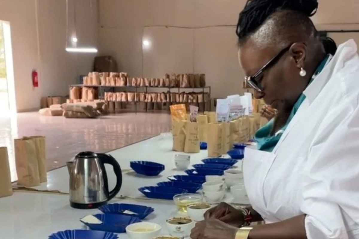 producteur - Gloria Gummerus - Sakami Coffee