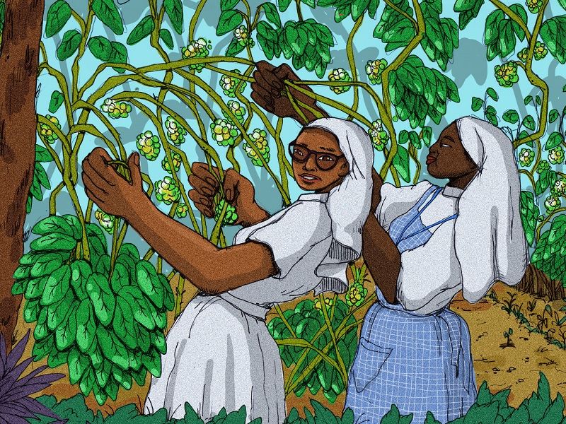 producteur The Sisters of Our Lady of Kilimandjaro