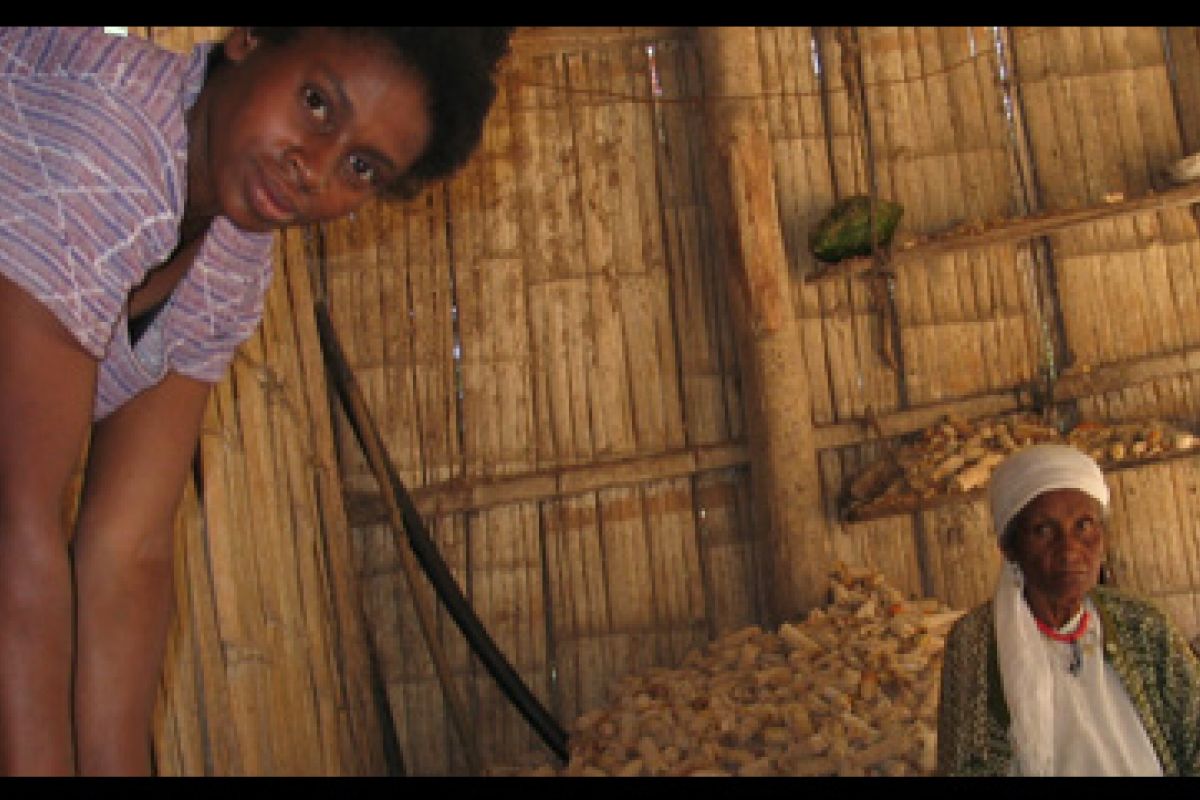 producteur - APCI (Asociacion de productoras de café de Intag)