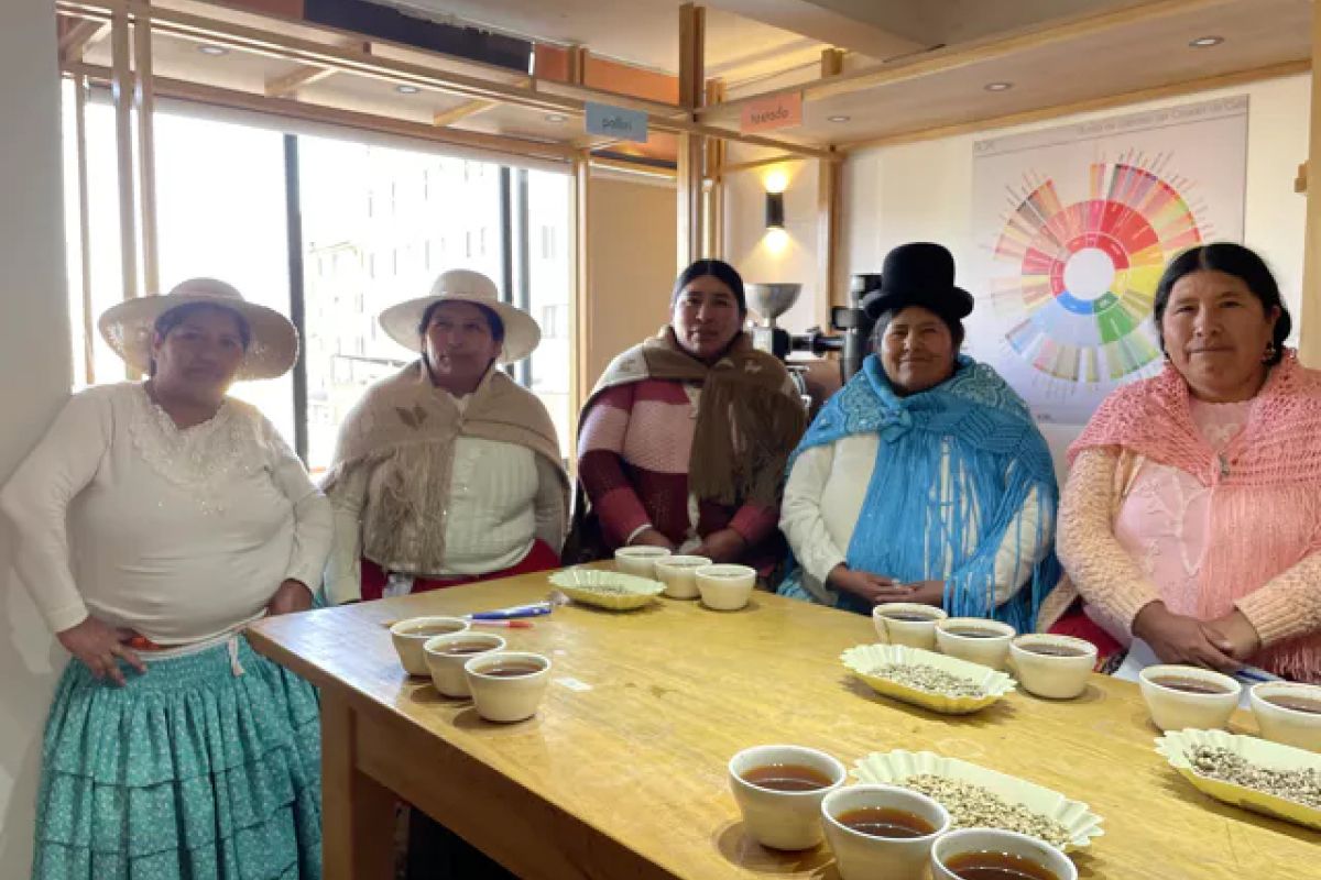 producteur - Le Projet Matriarcas