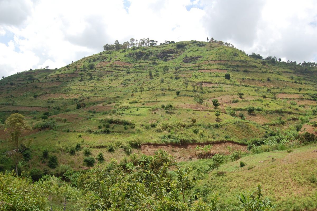 producteur - Les femmes de la microstation de Leda