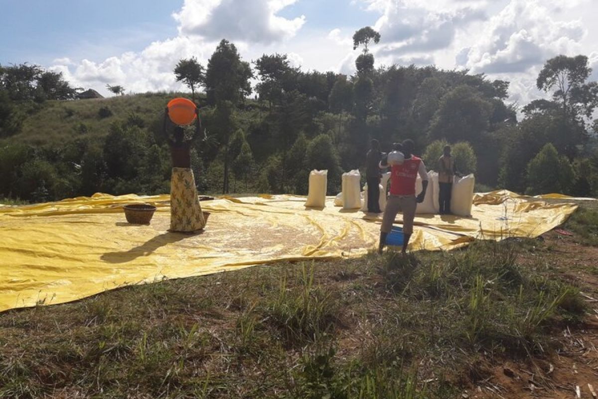 producteur - Les femmes de la microstation de Leda