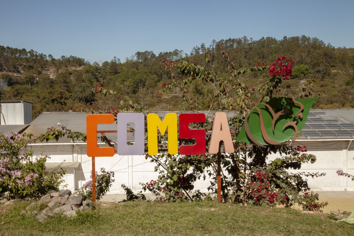 producteur - Le Projet Alegría – Femmes productrices de café au Honduras