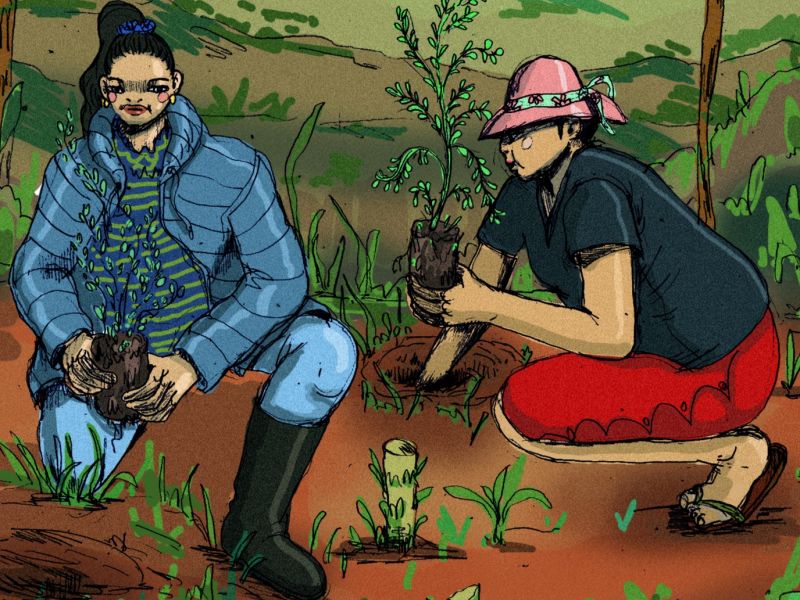 producteur Le Projet Alegría – Femmes productrices de café au Honduras