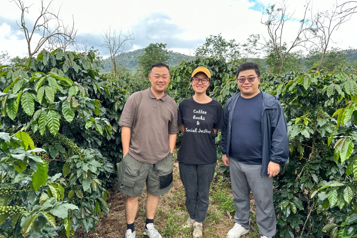 producteur - Miss Hang – Comma Coffee