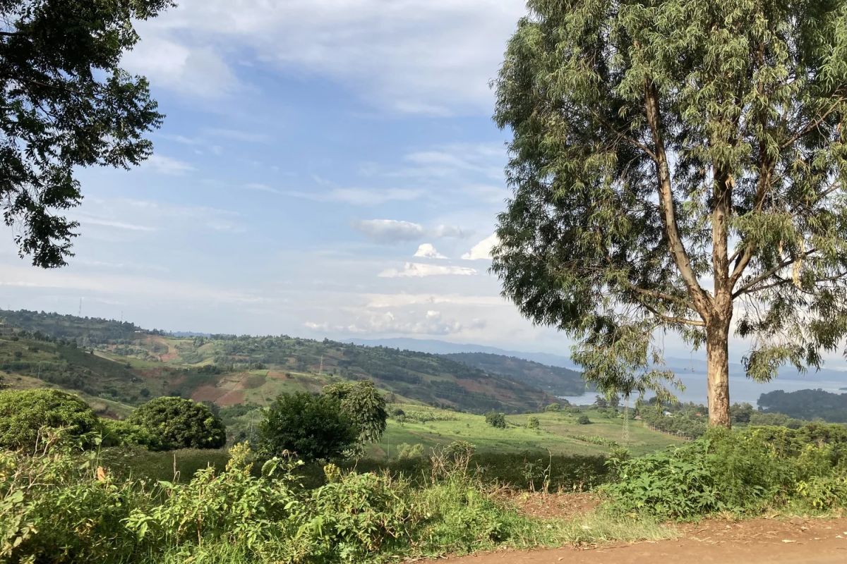 producteur - RAEK – Les femmes de Katana