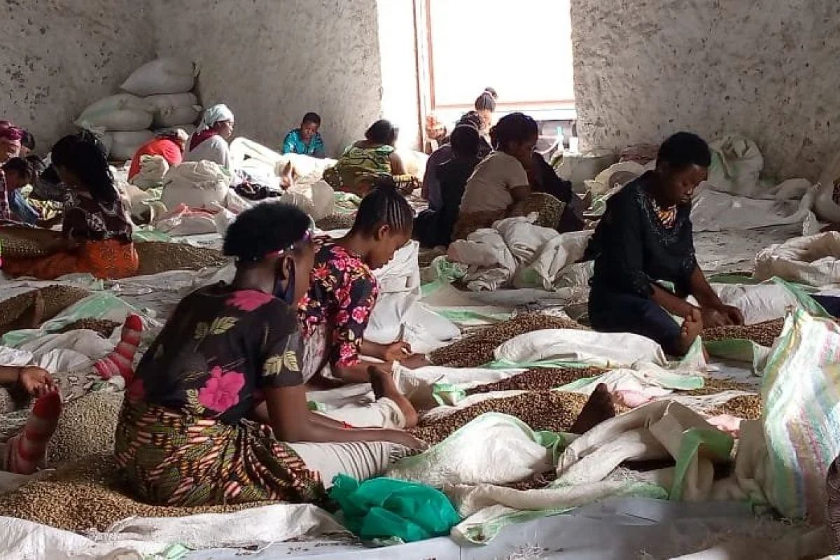 producteur - RAEK – Les femmes de Katana