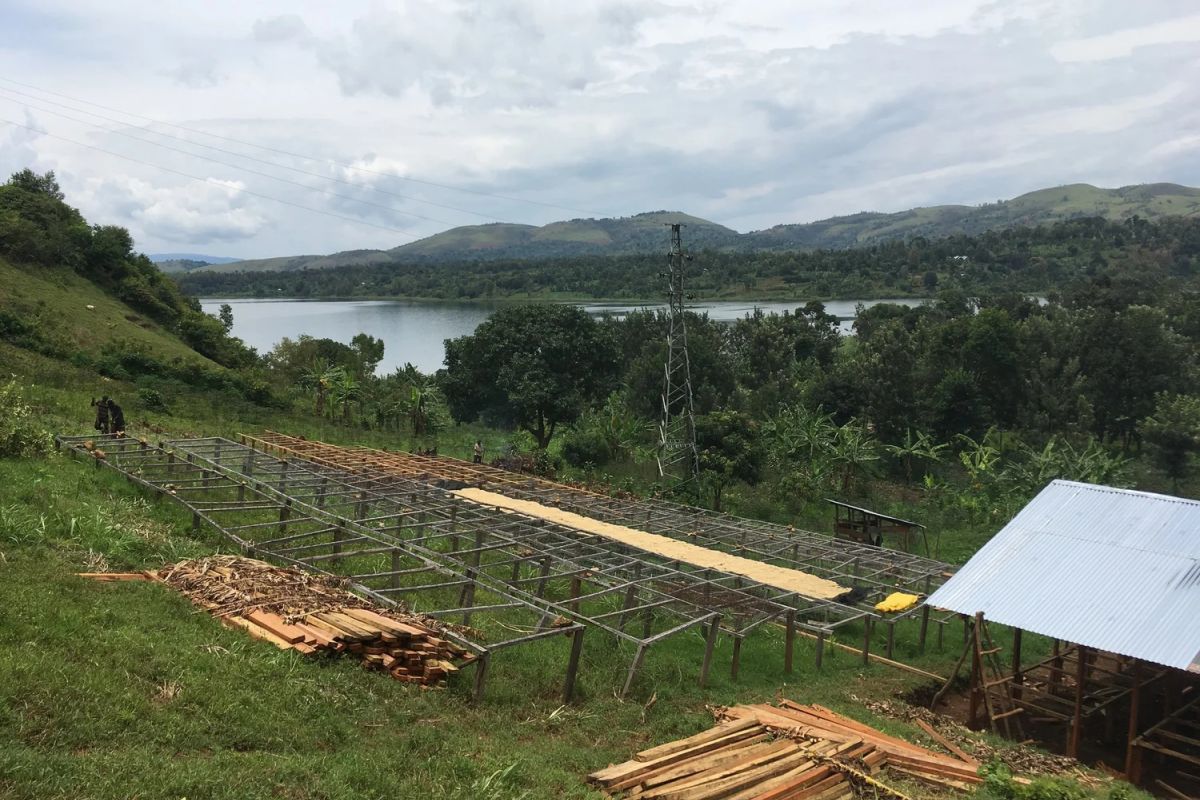 producteur - RAEK – Les femmes de Katana