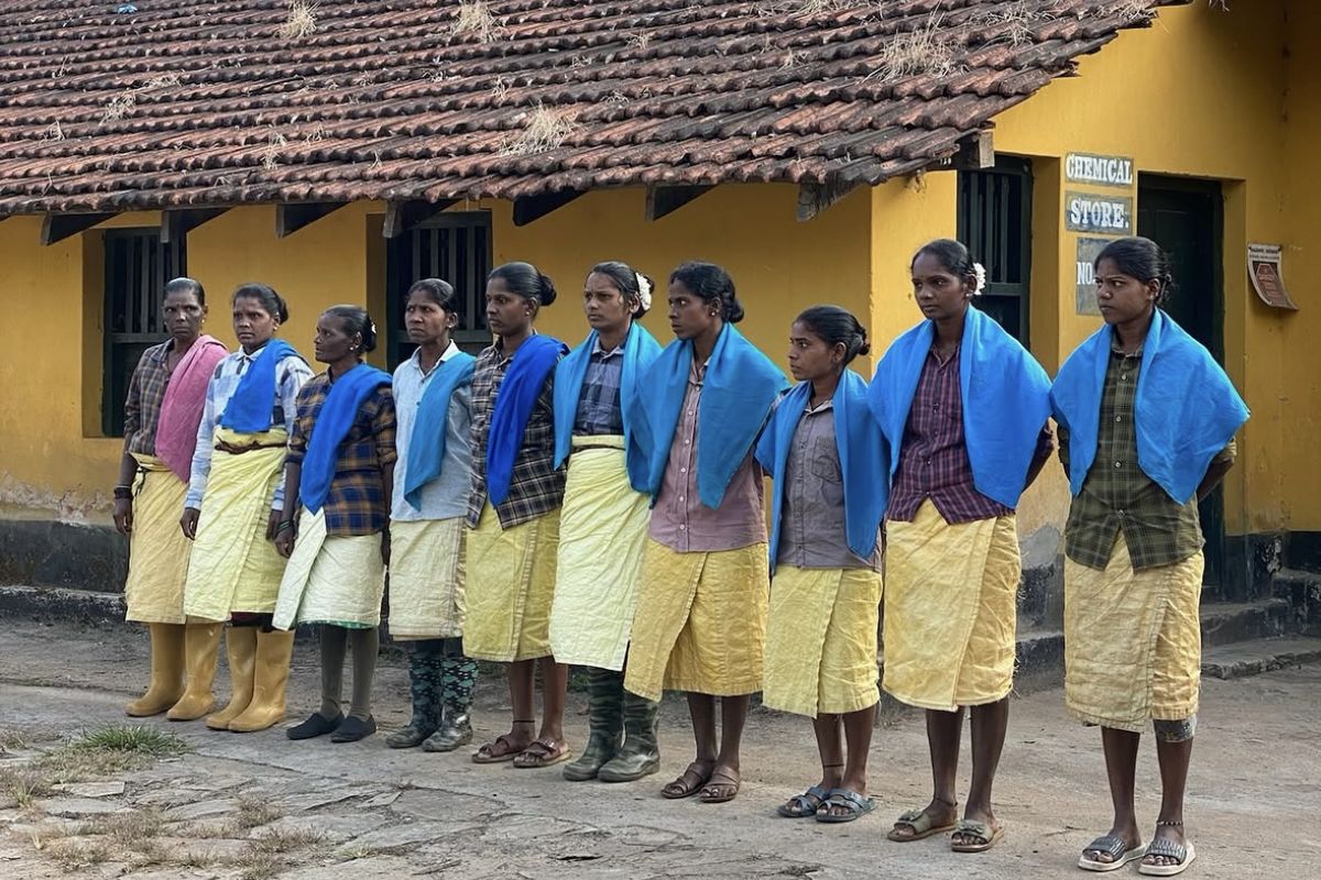 producteur - SANGAMESHWAR COFFEE ESTATES