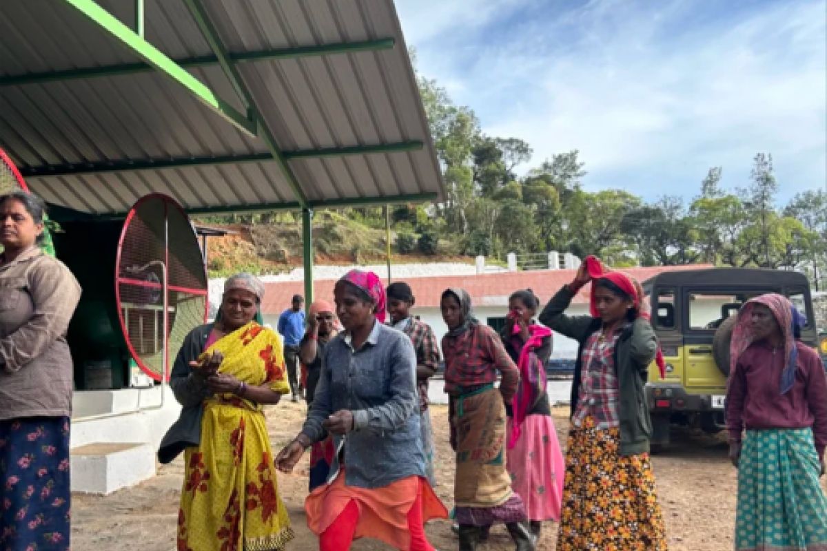 producteur - SANGAMESHWAR COFFEE ESTATES