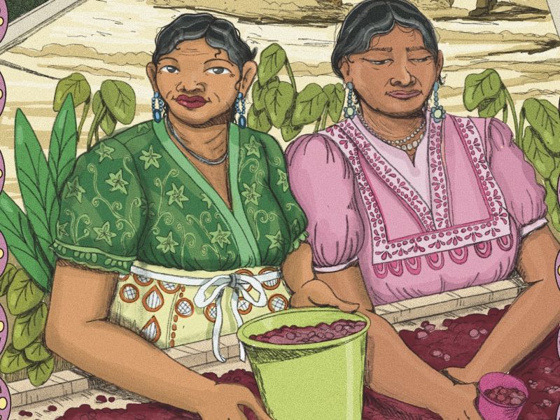 producteur Les femmes de Las Huistas